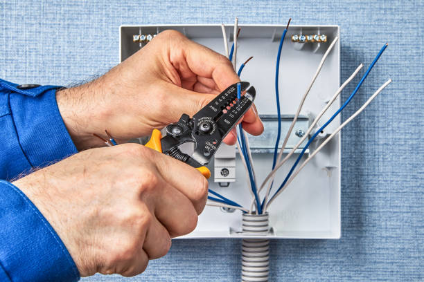 Best Electrical Panel Upgrades  in Deale, MD